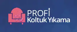 Profi Bursa Koltuk Yıkama
